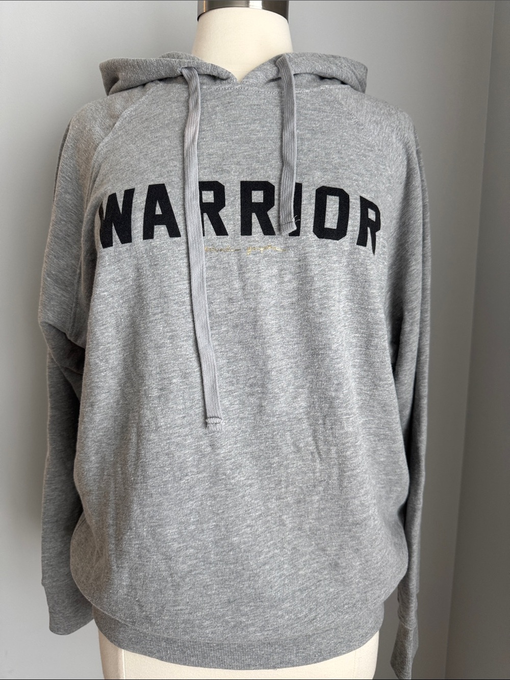 Spiritual Gangster NWT Women’s 'WARRIOR' Hoodie - Gray, Size L - Picture 2 of 8